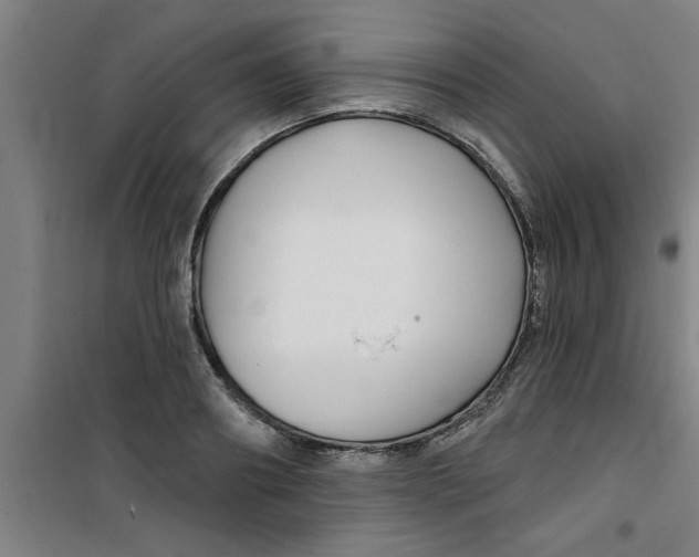 X0000099480890200805301616