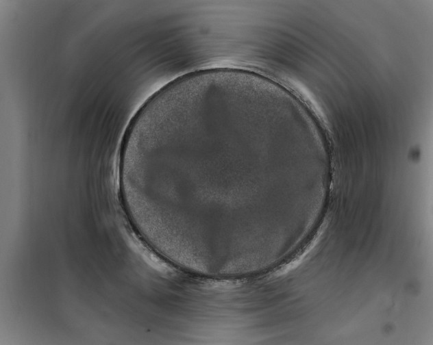 X0000099480892200805301616