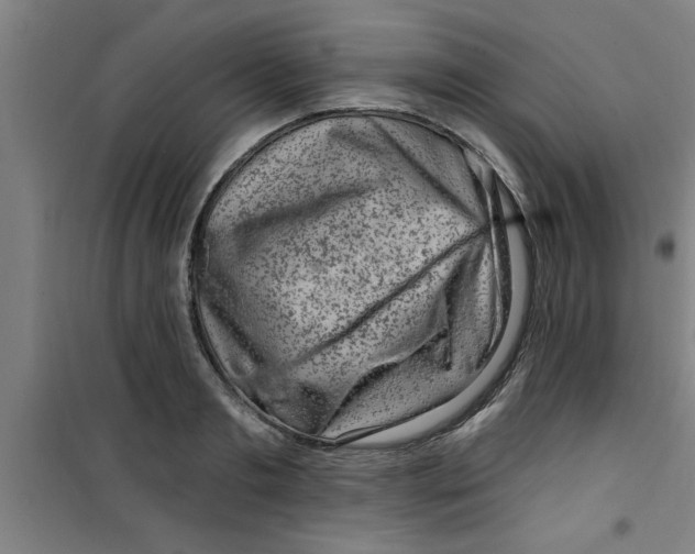X0000099480893200805301616