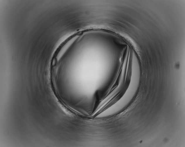 X0000099480894200805301616