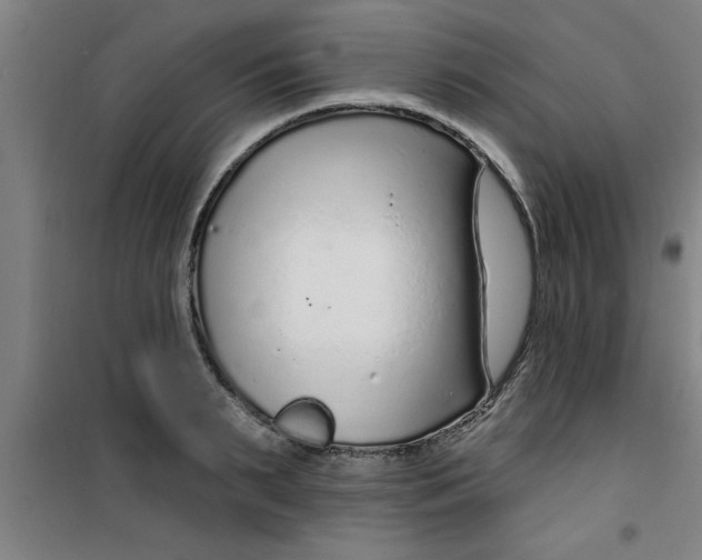 X0000099480895200805301616