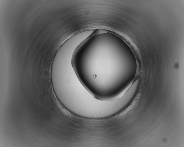 X0000099480897200805301616