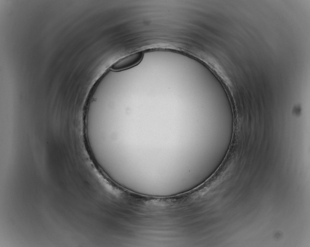 X0000099480898200805301616