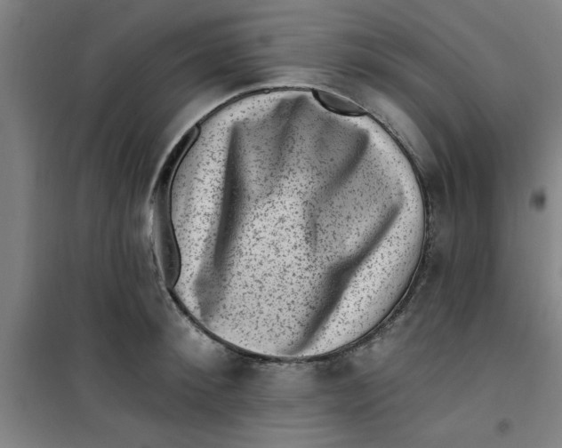 X0000099480900200805301616