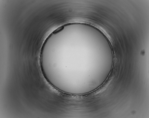 X0000099480901200805301616