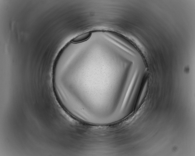 X0000099480902200805301616