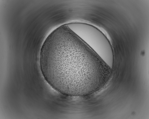 X0000099480903200805301616
