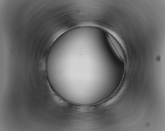 X0000099480905200805301616