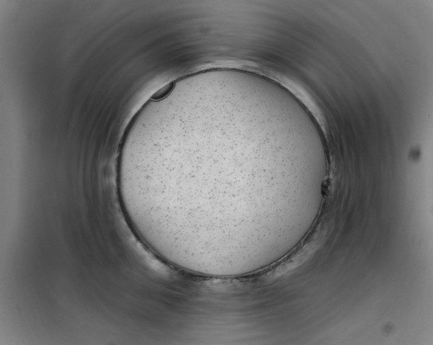 X0000099480906200805301616