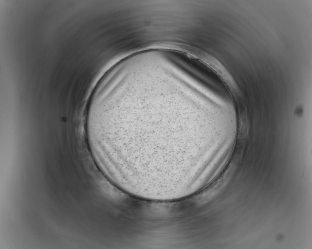 X0000099480908200805301616