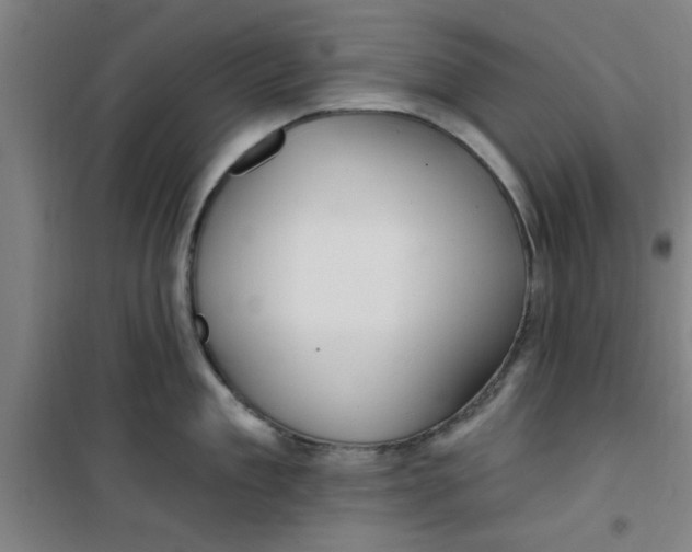 X0000099480909200805301616