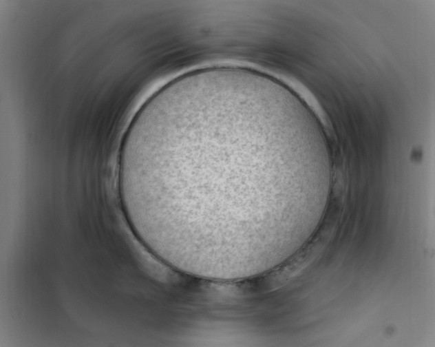 X0000099480911200805301616