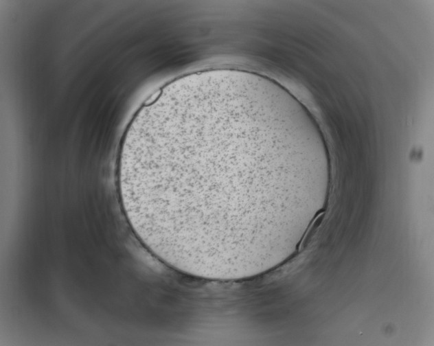 X0000099480912200805301616