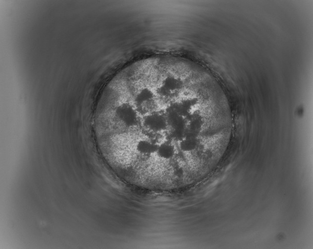 X0000099480913200805301615