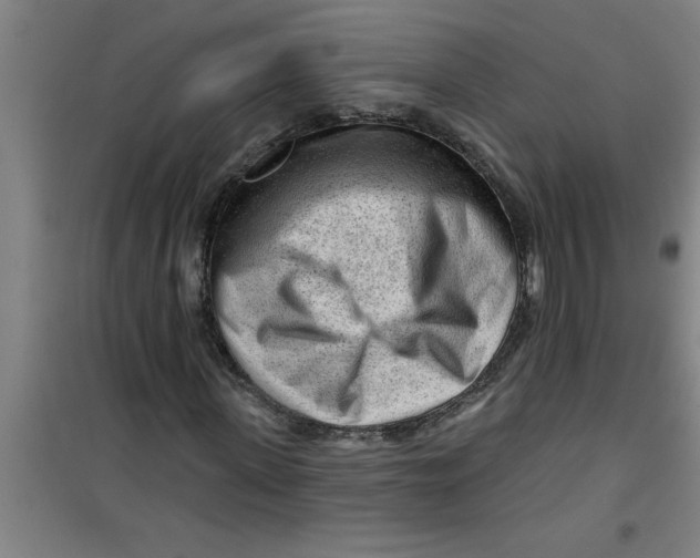 X0000099480915200805301615