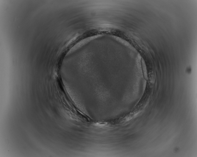 X0000099480916200805301615