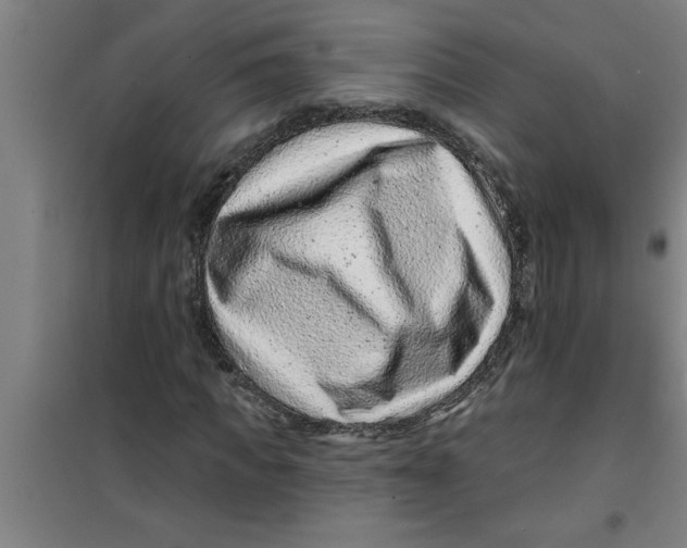 X0000099480917200805301615