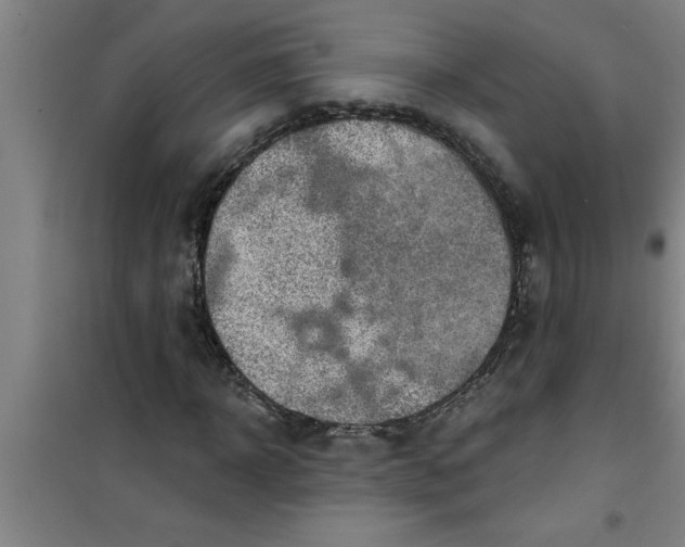 X0000099480918200805301615