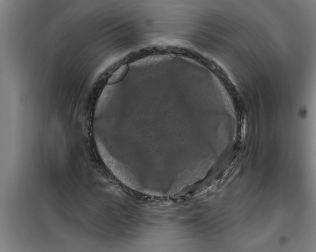 X0000099480919200805301615