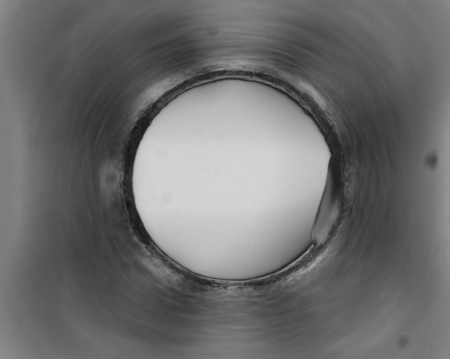 X0000099480922200805301615