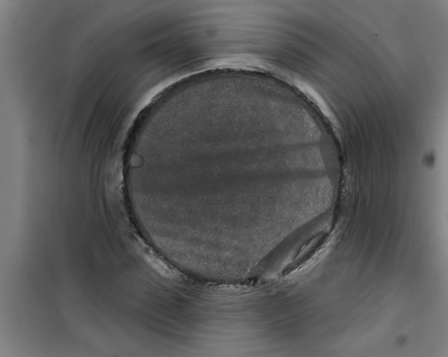 X0000099480923200805301615