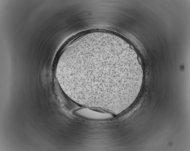 X0000099480924200805301615