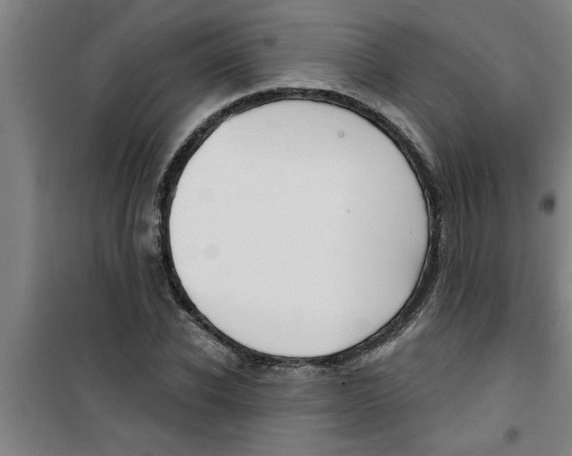 X0000099480926200805301615