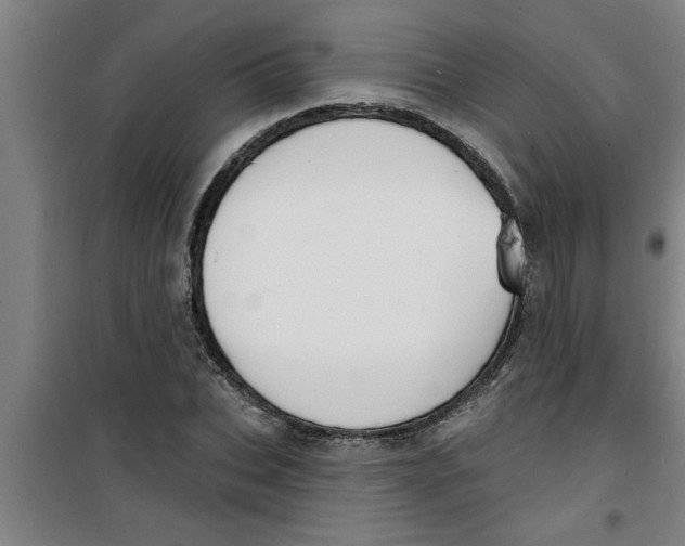 X0000099480927200805301615