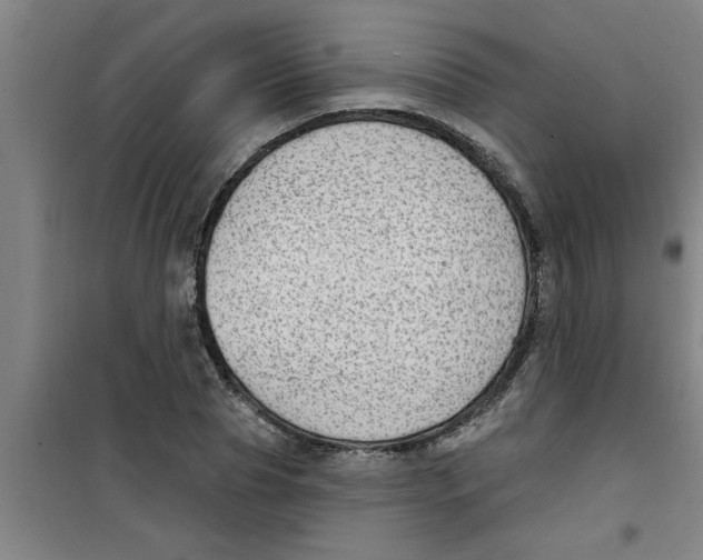 X0000099480929200805301615