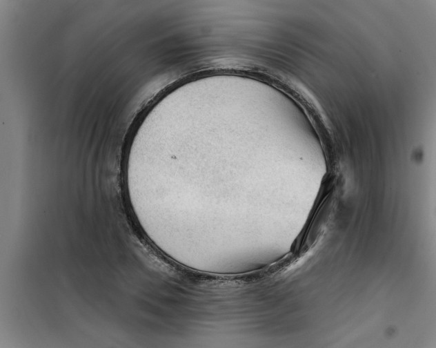 X0000099480930200805301615