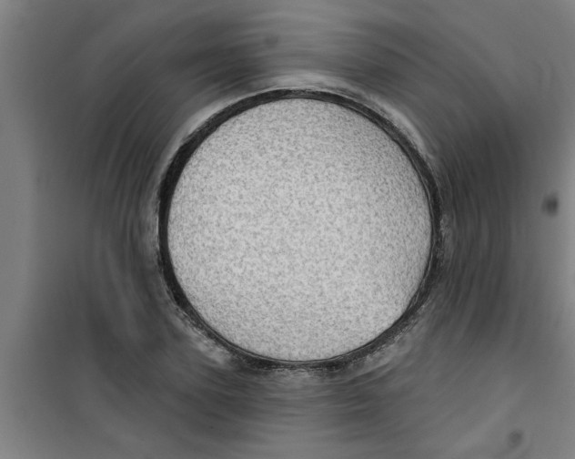X0000099480931200805301616