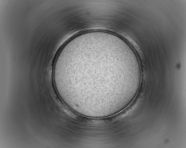 X0000099480933200805301616