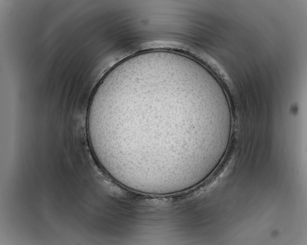 X0000099480937200805301616