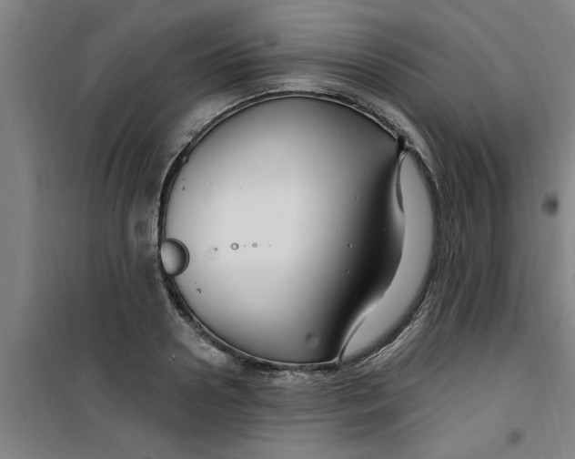 X0000099480938200805301616