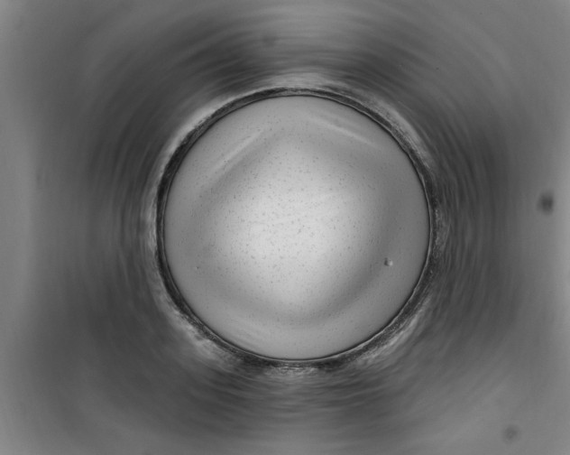 X0000099480939200805301616