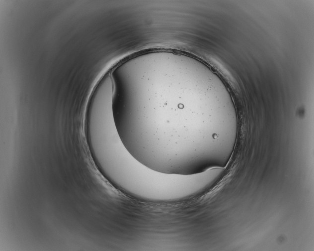X0000099480940200805301616