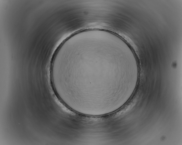 X0000099480941200805301616