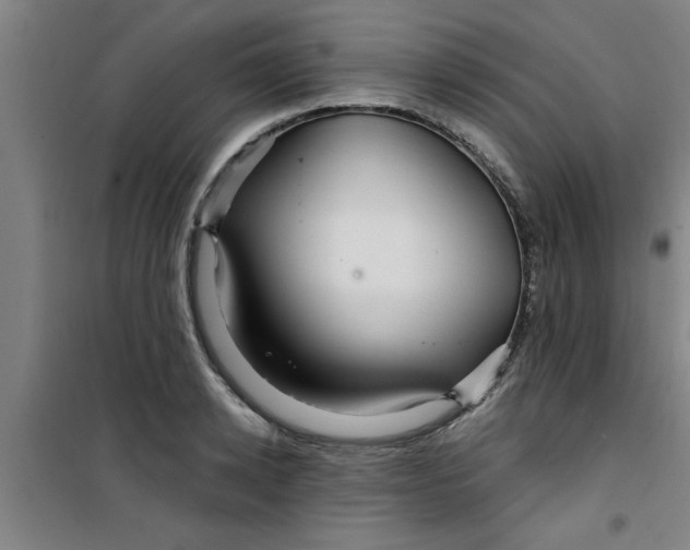 X0000099480942200805301616