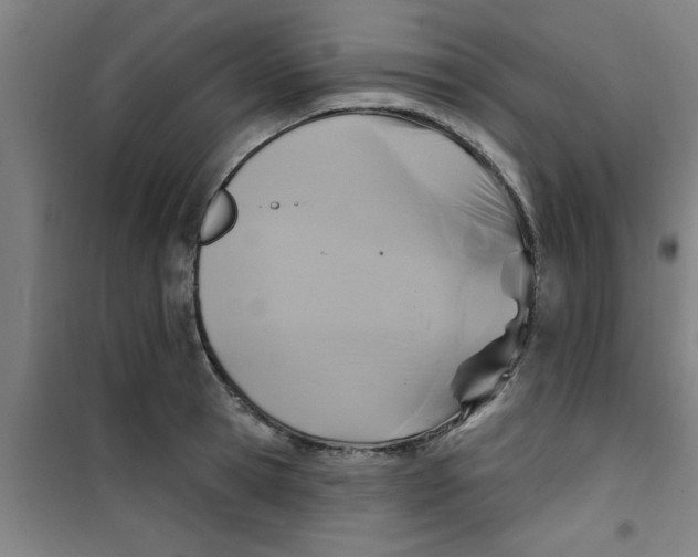 X0000099480945200805301616