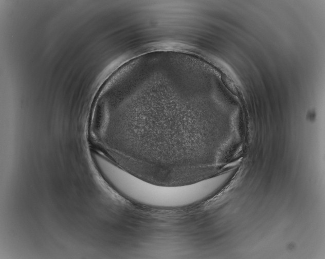 X0000099480946200805301616