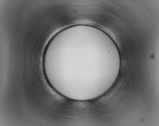 X0000099480947200805301616