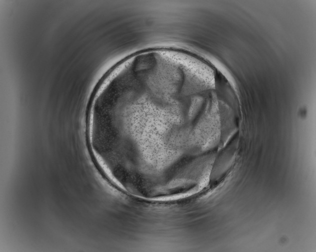 X0000099480951200805301616