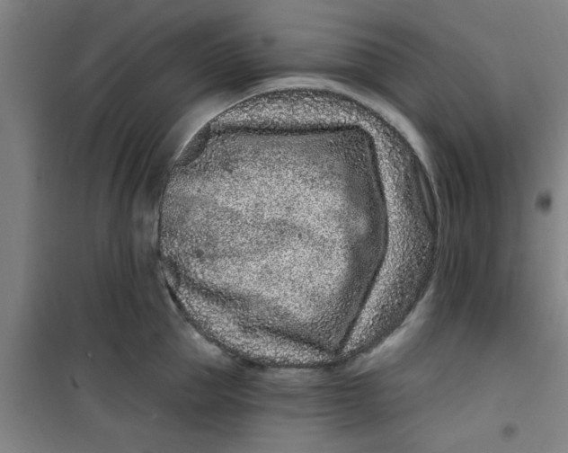 X0000099480953200805301616