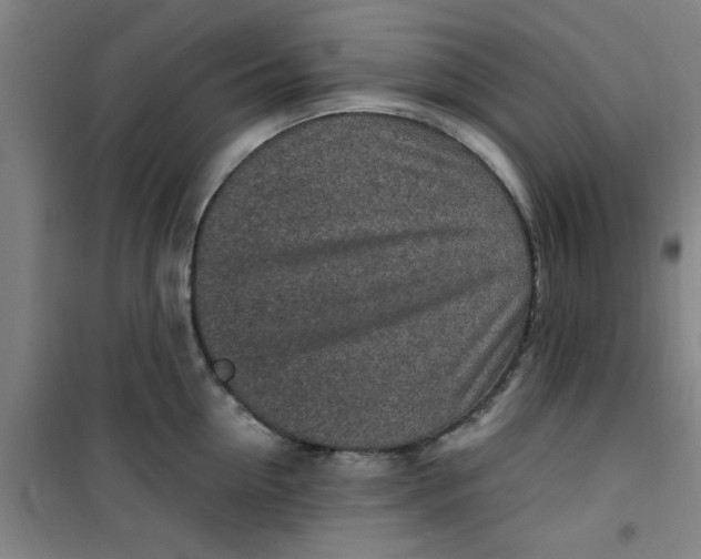 X0000099480954200805301616
