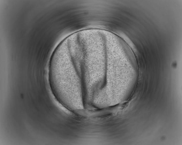 X0000099480955200805301616