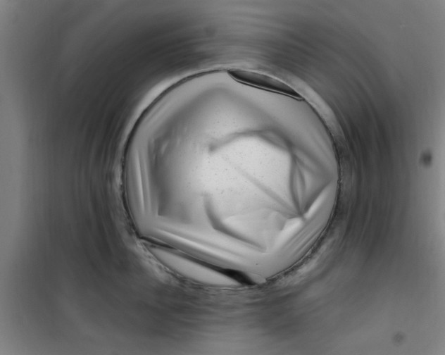 X0000099480956200805301616