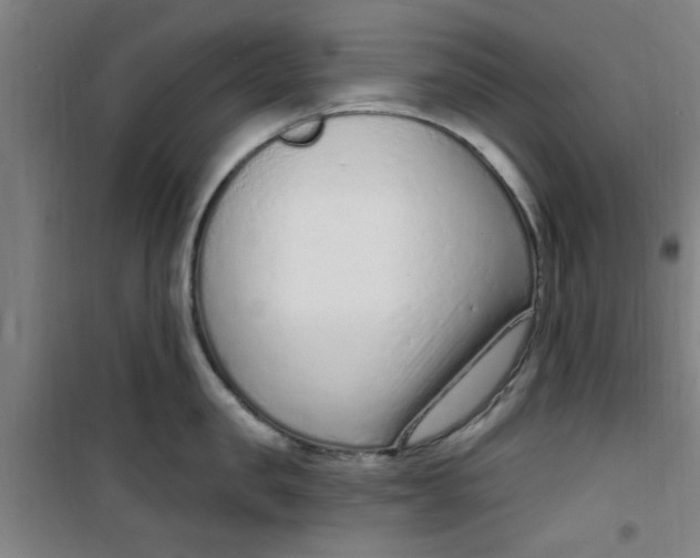 X0000099480957200805301616