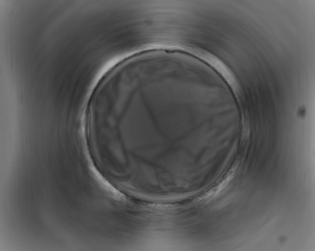 X0000099480958200805301616
