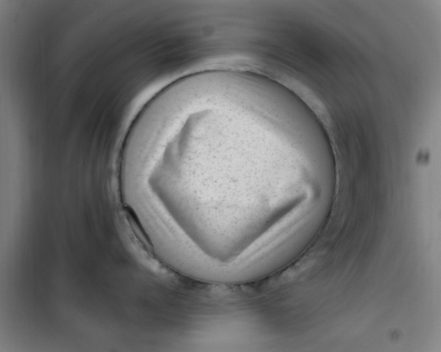 X0000099480960200805301616