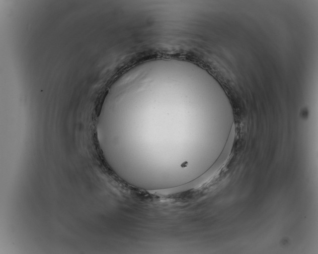 X0000099480961200805301615